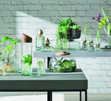 LSA glassware